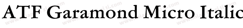 ATF Garamond Micro Italic字体转换